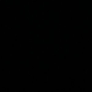 Meet your Posher, Camille